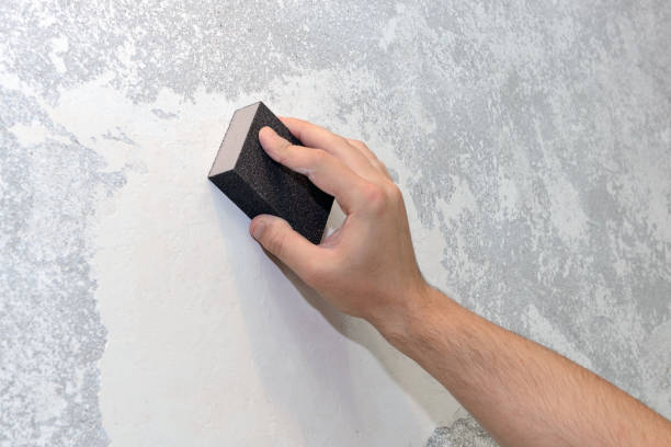 Best Post-Construction Mold Inspection  in Seville, FL