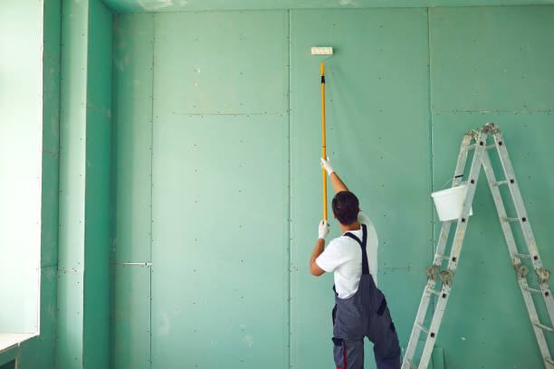 Best Emergency Mold Remediation  in Seville, FL