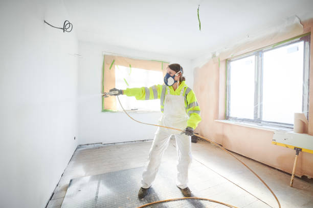 Best Environmental Consulting for Mold Prevention  in Seville, FL