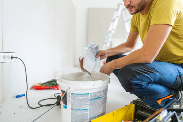 Reliable Seville, FL Mold Removal Solutions