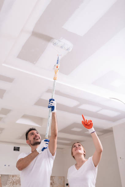 Best Residential Mold Inspection & Testing  in Seville, FL